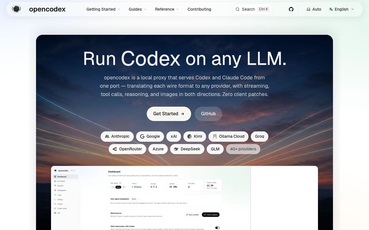 Screenshot of opencodex